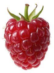 Close-up of a vibrant red raspberry