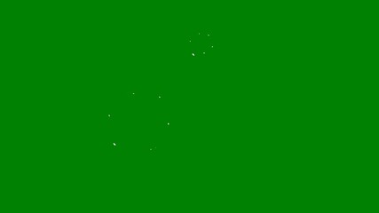 A green screen with white background and circle cat on it small dot an image of circles animated chromakey background figure composition expression illustration layers elements colorful