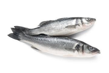 Fresh uncooked seabass fish isolated on white background, closeup