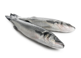 Fresh uncooked seabass fish isolated on white background, closeup