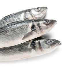 Fresh uncooked seabass fish isolated on white background, closeup