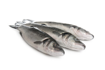 Fresh tasty seabass fish isolated on white background, closeup
