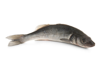 Fresh tasty seabass fish isolated on white background, closeup