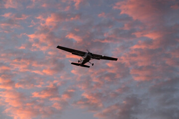 Peaceful Flight Under a Colorful Horizon