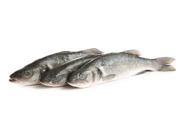 Uncooked seabass fish isolated on white background, closeup