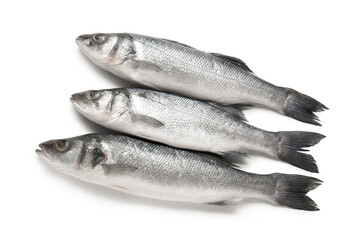 Uncooked seabass fish isolated on white background, closeup
