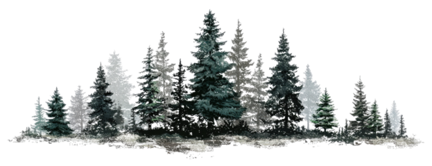 Winter forest scene (1)