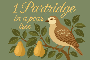 Partridge in a pear tree. The twelve days of Christmas. English Christmas carol. First day. Vector vintage illustration