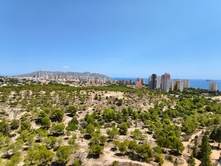 Obraz premium A serene and vibrant coastal landscape features a stunning urban skyline beneath a clear blue sky