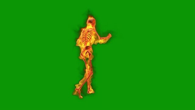A skeleton running on green screen and woman is dancing in flames burning fire figure animated chromakey background composition motion movement colorful depth elements scene backgrounds