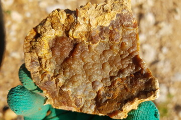 Sample of botryoidal chalcedony in hand, mineral hunting, central Russia