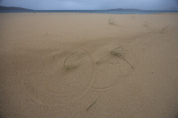 Marram Grass on Scarista Beach,  Isle of Harris, Scotland