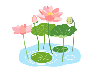 池になる蓮の花と葉と実をイメージしたイラスト