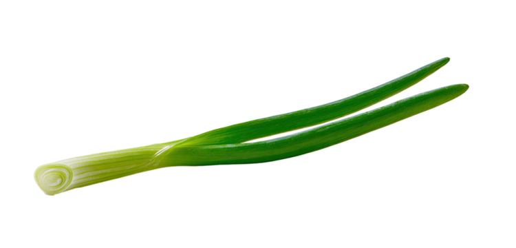 Two green scallions lie side-by-side, with a slightly bulbous base