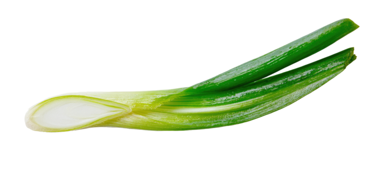 Close-up of a sliced green onion, showing the pale white inner layers and vibrant green outer leaves