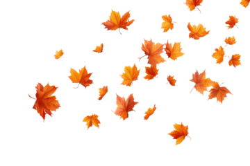 Falling autumn leaves against a black background