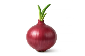 Red onion bulb with green sprouts, fresh vegetable ingredient for cooking, isolated on transparent background