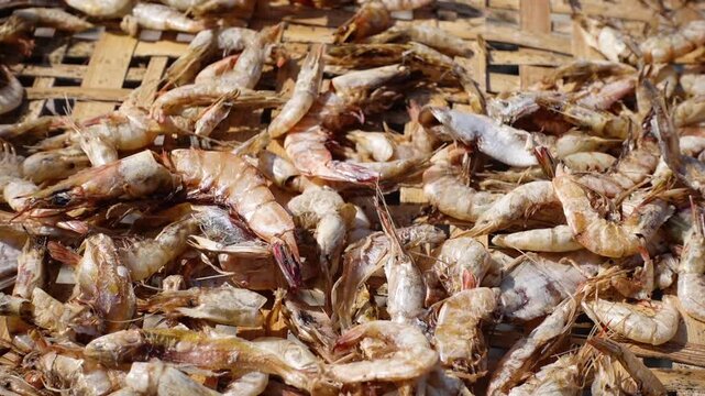 A close-up view of half-dried shrimp on a bamboo basket.