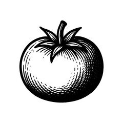 Vintage black and white vector illustration of a tomato, engraved style vegetable drawing for organic, vegan, or farm-to-table design projects