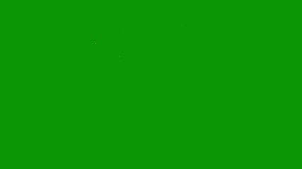 A green screen with white background and paint splashs spots on it small insect outline animated chromakey background gesture style depth design figure elements frame creative motion - Powered by Adobe