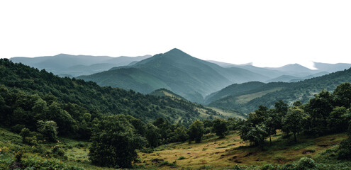 Obraz premium Misty mountain range with lush green forests