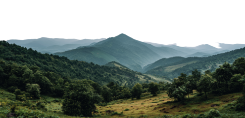 Misty mountain range with lush green forests