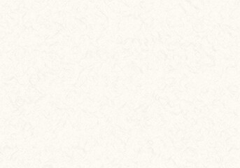 和紙・テクスチャ・背景・白練色（白色）