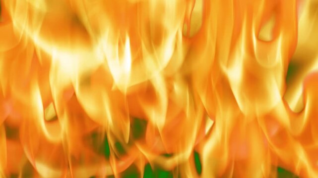 A green screen with white background and flames on it fire close up of view animated chromakey background colorful expression figure elements movement illustration style design motion
