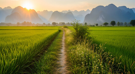 Path through vibrant green rice fields at sunrise with misty mountains in a tranquil rural landscape