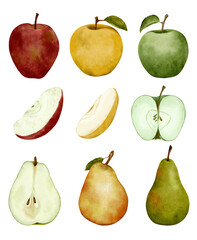 Beautiful Watercolor Depictions of Apples and Pears Showcasing Their Various Colors, Shapes, and Cuts in Artistic Style