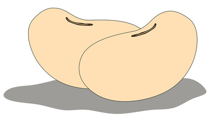 Soy beans with shadow on transparent background