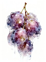 Surreal Fruits Series : A delicious looking healthy bunch of ripe plums on a white background suitable for graphic design and decoration 003