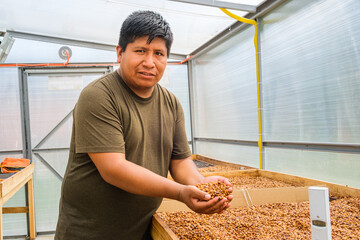 Bolivian coffee producer showing coffee drying in a special chamber in the Yungas region of Bolivia...