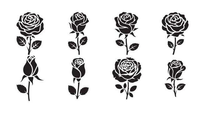 Black and White Rose Vector
