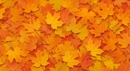 Vibrant maple leaves create a colorful autumn background in shades of yellow and orange.
