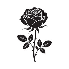 Obraz premium vector illustration of rose