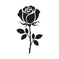 rose on black background