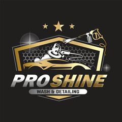 Car Paint and Detailing Salon Logo Design Template.