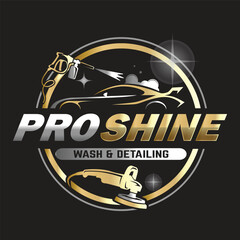 Car Paint and Detailing Salon Logo Design Template.
