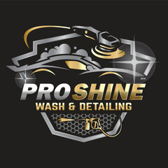 Car Paint and Detailing Salon Logo Design Template.