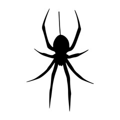 horror and Halloween concept: abstract spider graphic