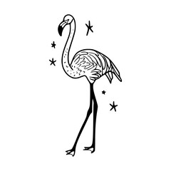 stylized flamingo drawing with star accents