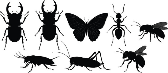  Collection of insect silhouettes including beetles, butterfly, ant, bee, cricket, and cockroach, vector illustration for nature, wildlife, and biology design themes