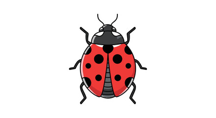 Naklejka premium A classic red ladybug with black spots is shown from above on a white background.