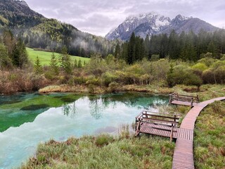 Natural reserve Zelenci - source of the Sava Dolinka, Slovenia (Naturschutzgebiet Zelenci - die Quelle der Sava Dolinka, Slowenien) Naravni rezervat Zelenci - Izvir reke Save Dolinke, Slovenija