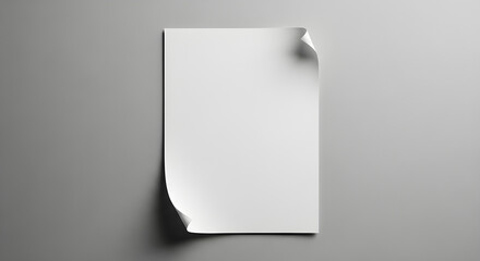 Minimalist Blank Poster Mockup