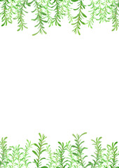 水彩風に描いたローズマリーのイラスト