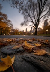 Autumn leaves on a city park road