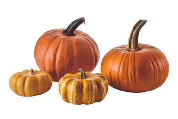 Obraz premium four pumpkins isolated on white background.