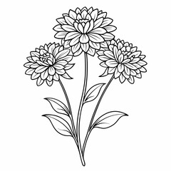  knautia macedonica widow line art vector on white background